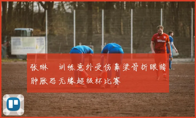 张琳芃训练意外受伤鼻梁骨折眼睛肿胀恐无缘超级杯比赛